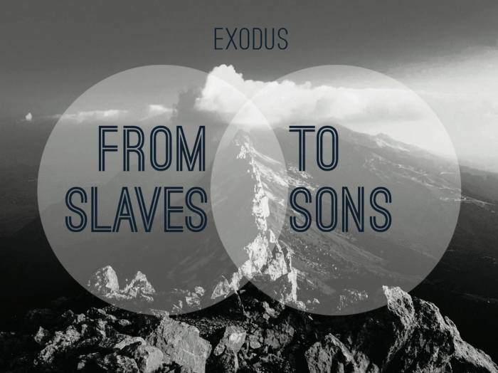 1064918_10153781464300035_1137549723_o